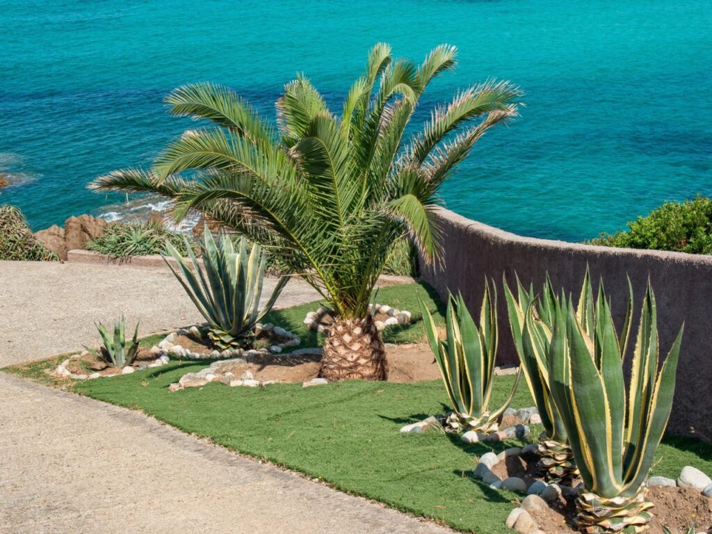 Życie w Alicante to nie tylko plaże i słoneczna pogoda przez większość roku